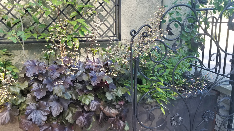 シアトルにある夏の地中海スタイルのおしゃれな庭 (門扉、日陰、天然石敷き、金属フェンス) の写真