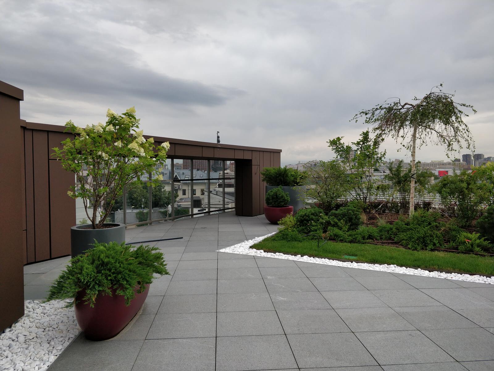 Озеленение крыши в центре Москвы