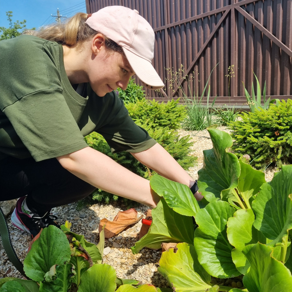 В работе 2022 и старше