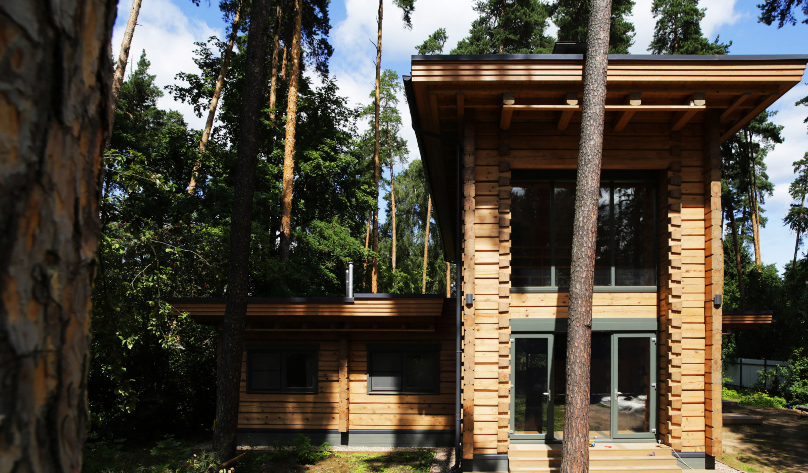 Дом в сосновом лесу