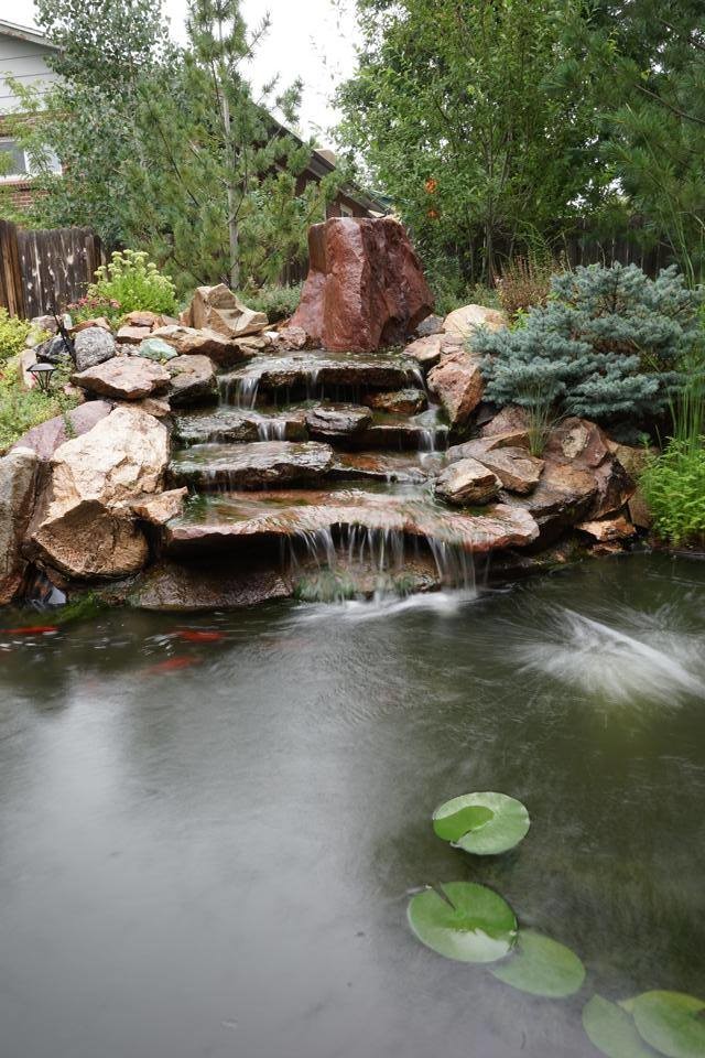 Inspiration for a transitional landscaping in Denver.
