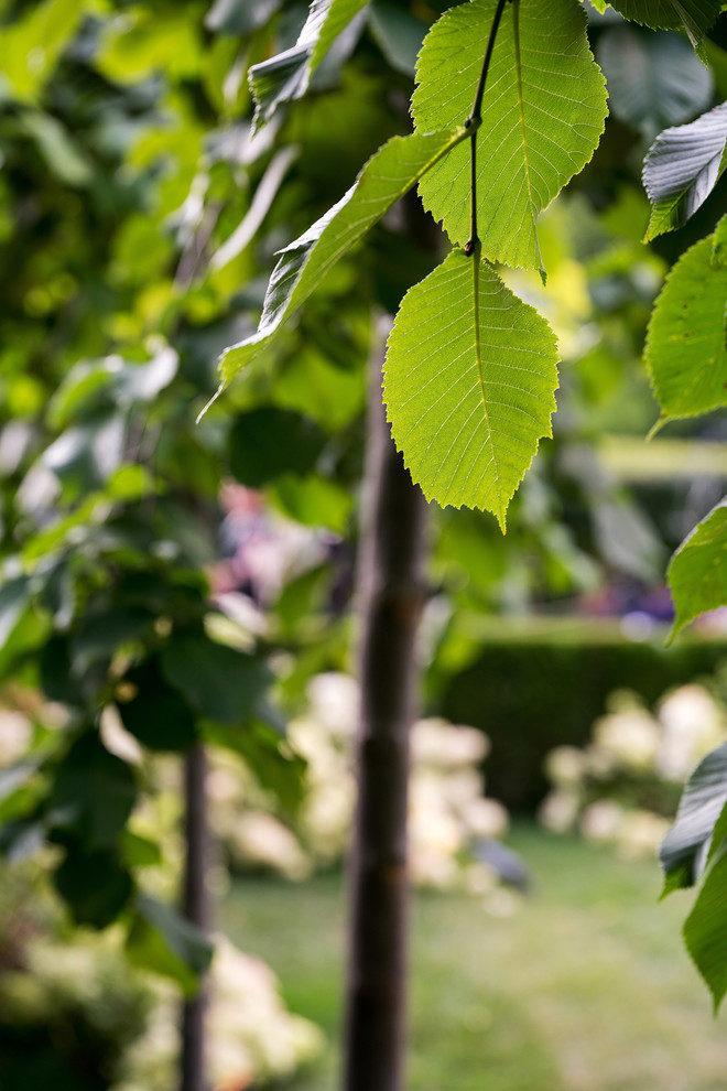 Сад Оксаны Хебородовой Гран-При на Москоу Флауер Шоу ( "Cад Вячеслава Зайцева")