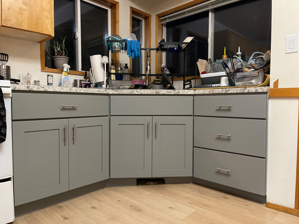 Partial kitchen remodel