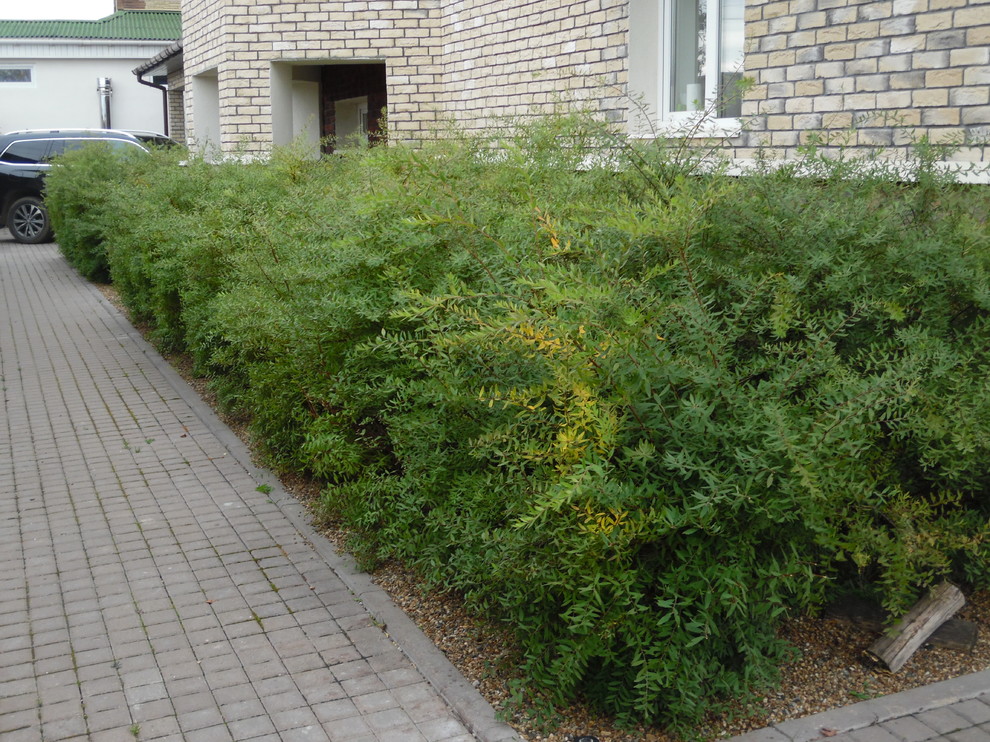 Идеи для современного сада.