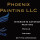 Phoenix Painting LLC