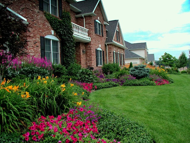 Front Yard Planting Ideas - Traditional - Landscape - New ...
