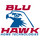 BluHawk Home Technologies