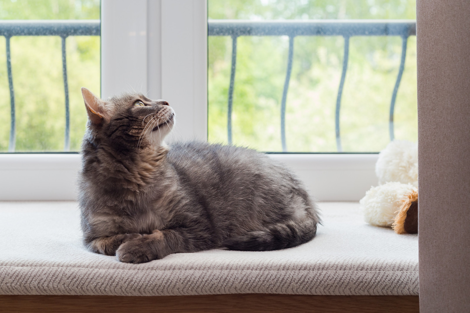 Проект квартиры ЖК "Сосновка"