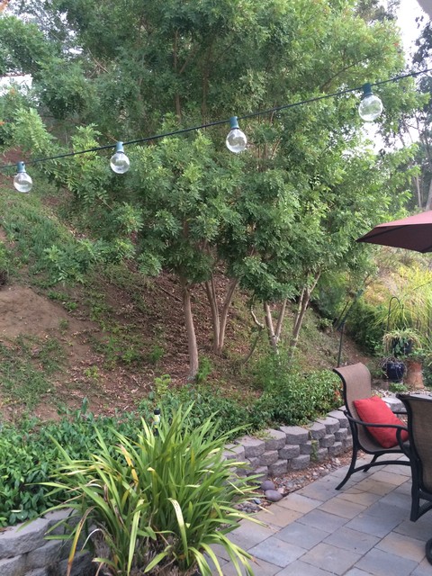 Backyard hill from corner 