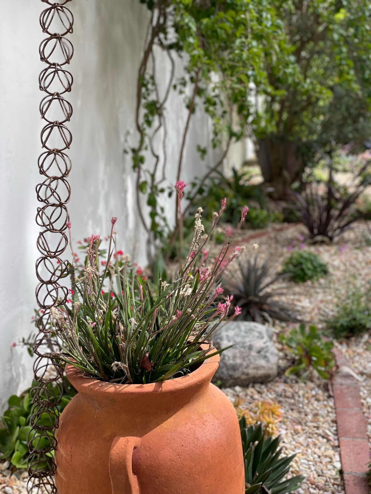 Palos Verdes Mediterranean Planter