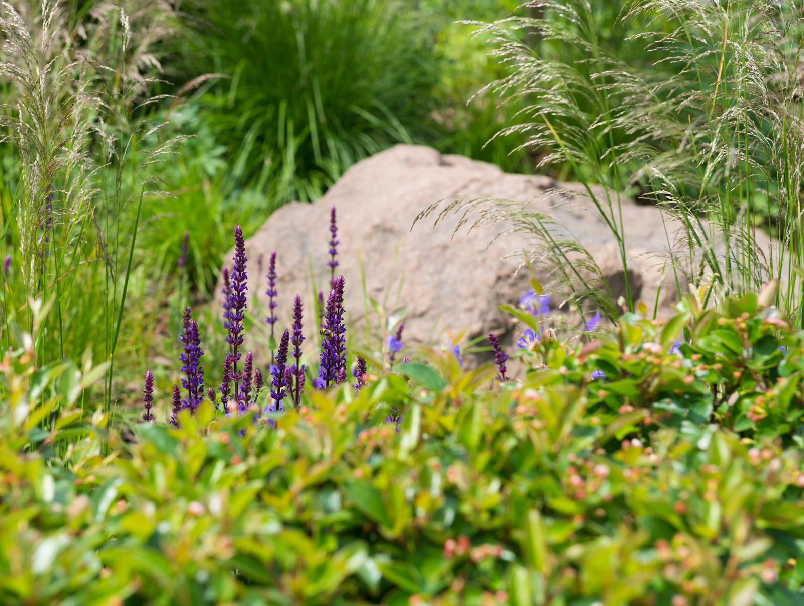 Летова роща