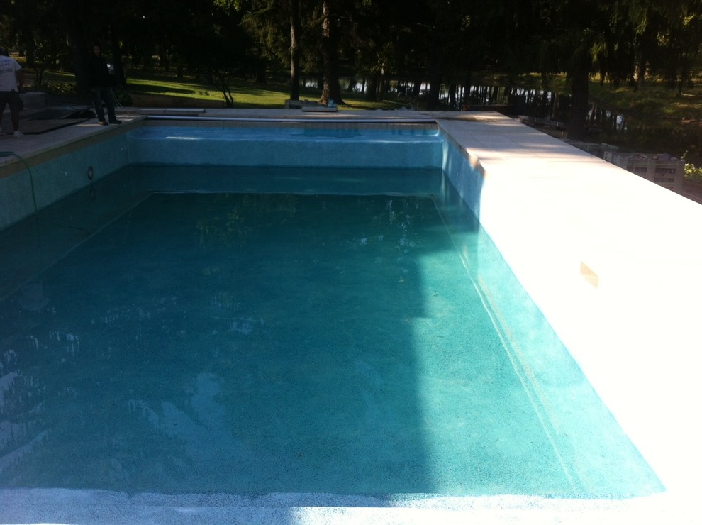 Mittelgroßer Klassischer Pool hinter dem Haus in rechteckiger Form mit Natursteinplatten in Chicago