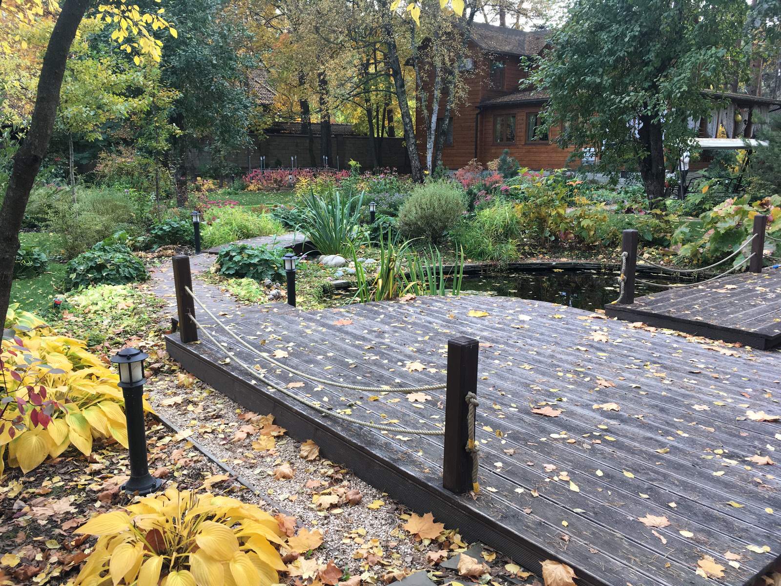 Белкин сад. Осень 2019