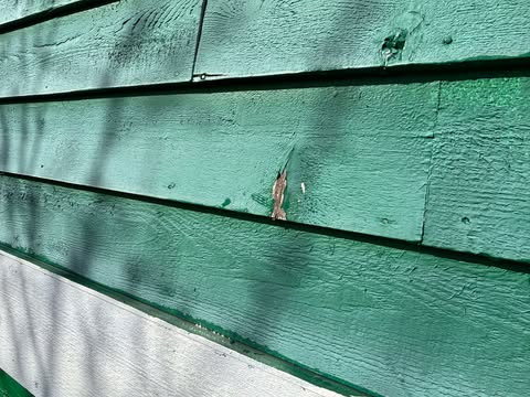 Exterior Siding Replacement