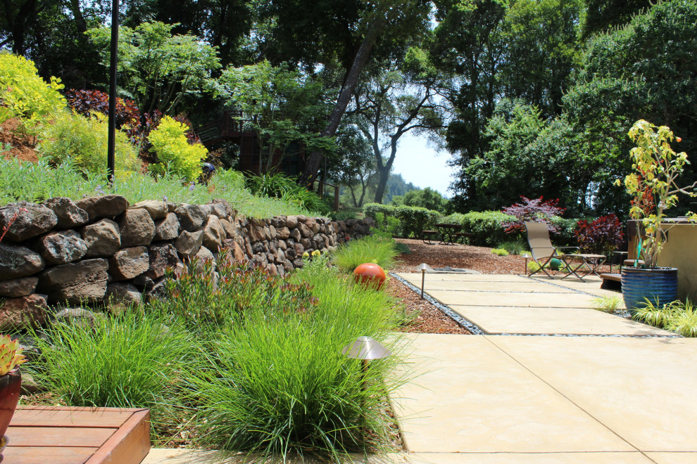 Photo of a mid-sized contemporary backyard full sun xeriscape in San Francisco with with path and concrete pavers.
