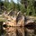 elizabeth_wood2752398