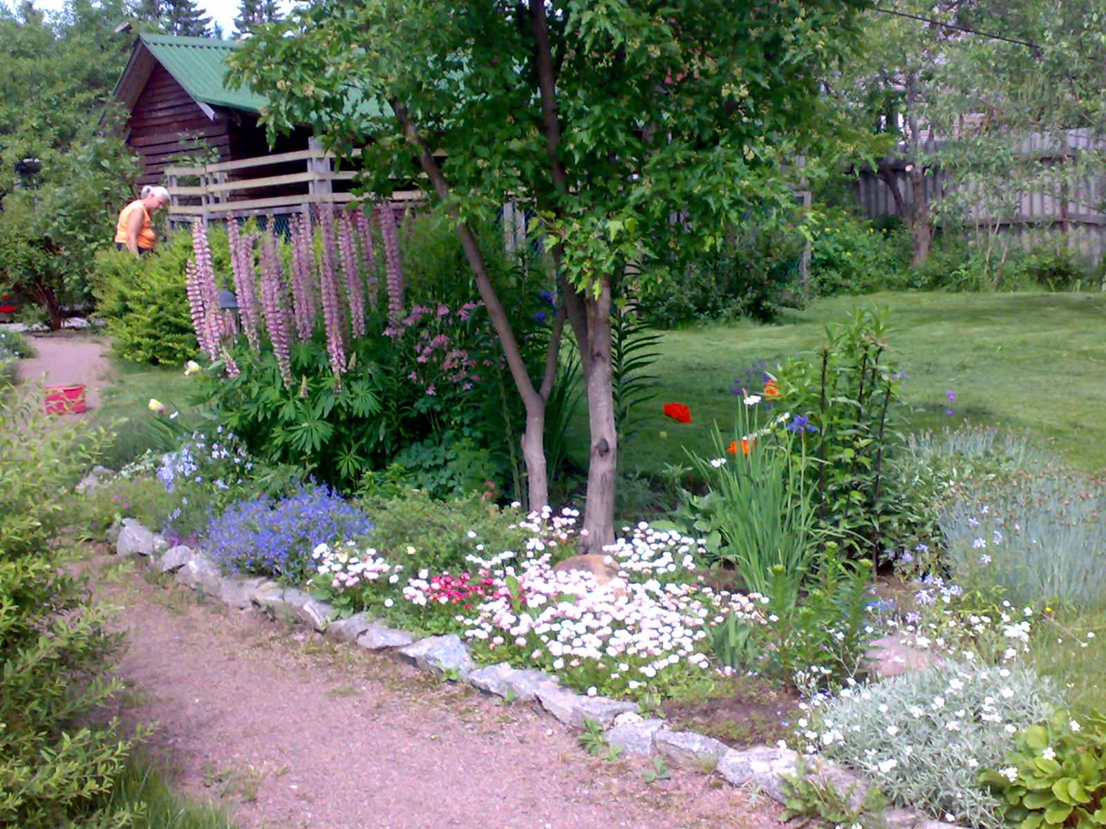 Усадебный семейный сад