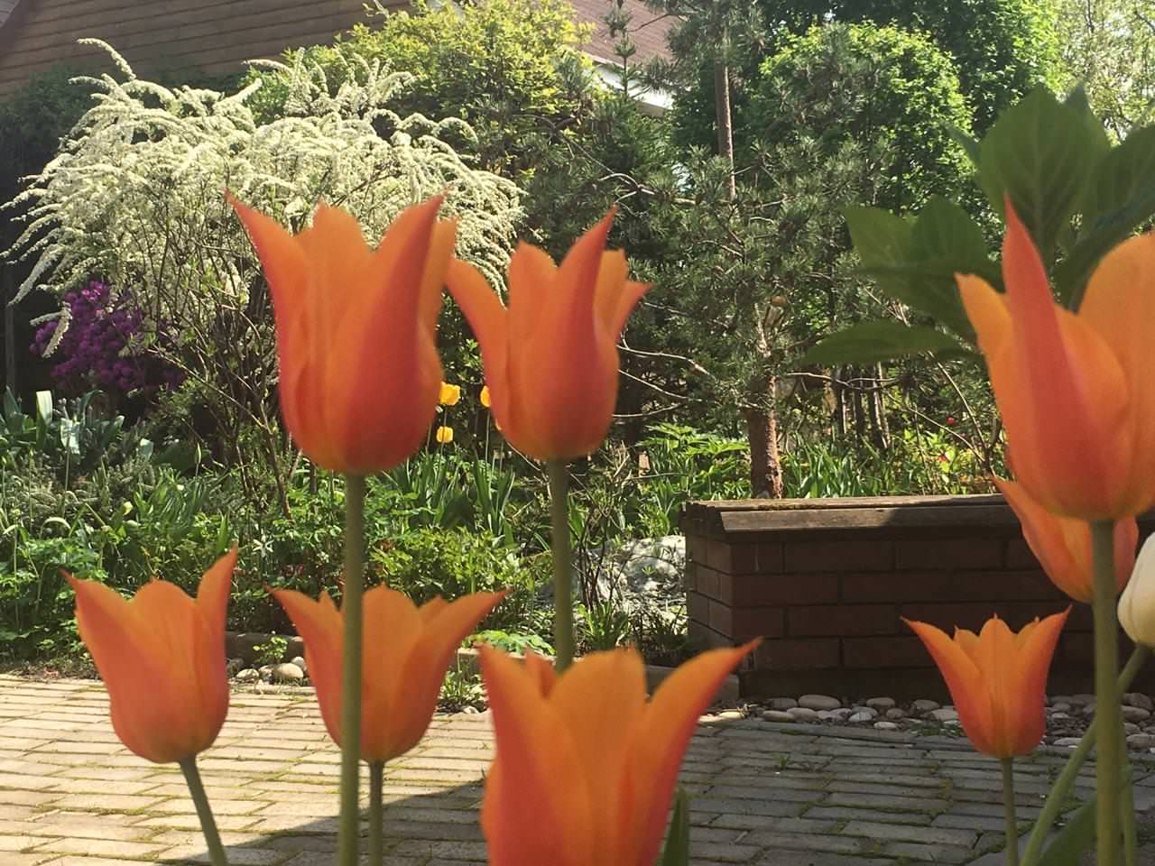 Преображение