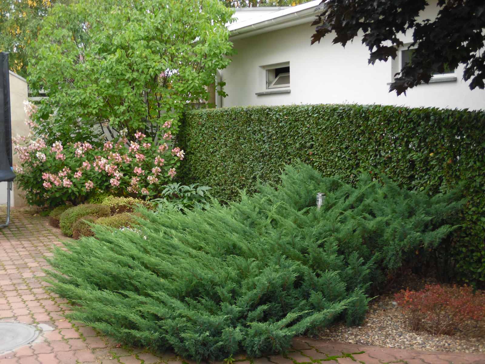 Маленький камерный сад.