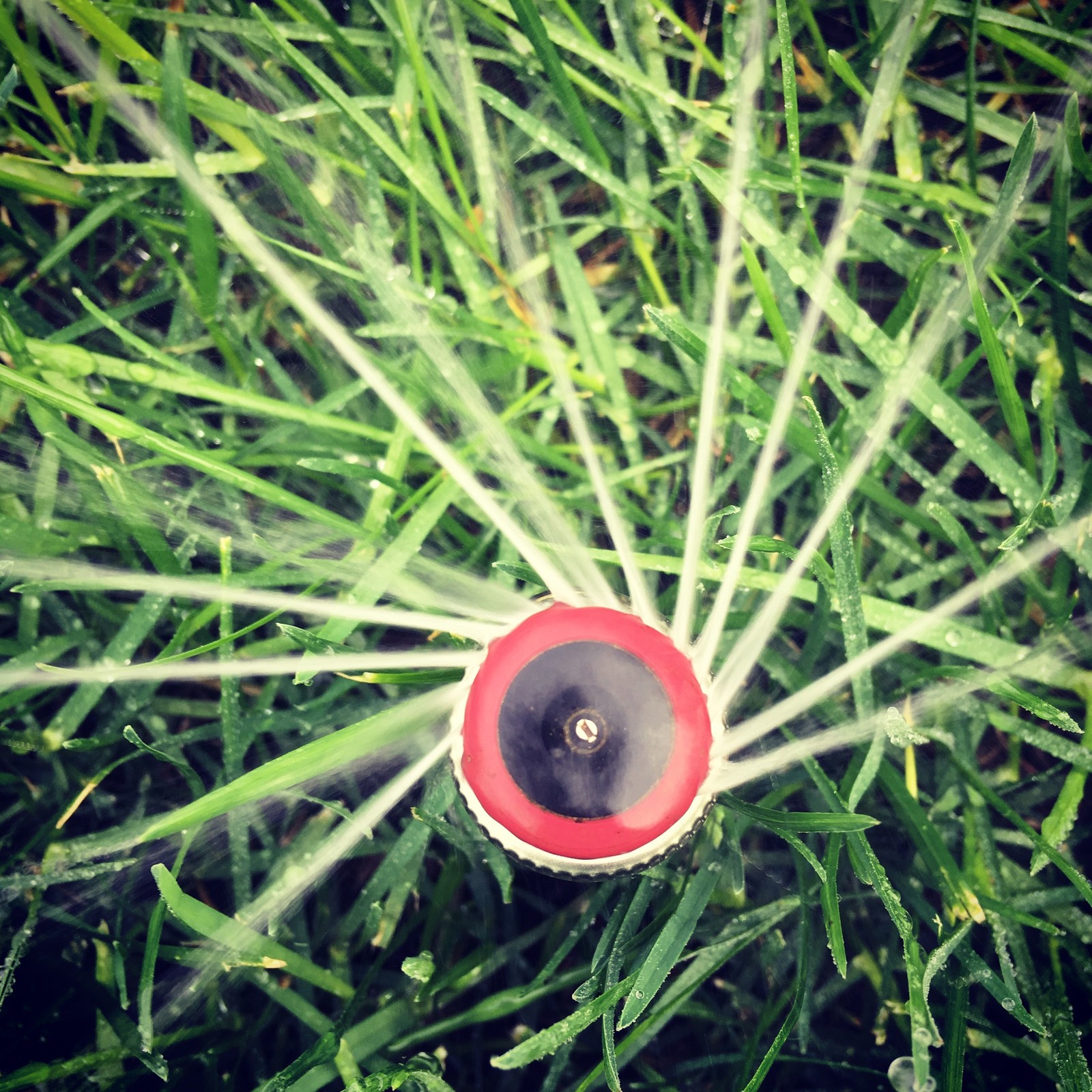 Автоматический полив