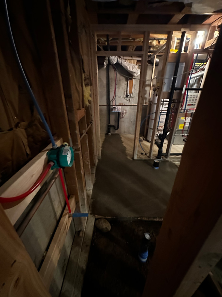 Federal Way Basement Remodel