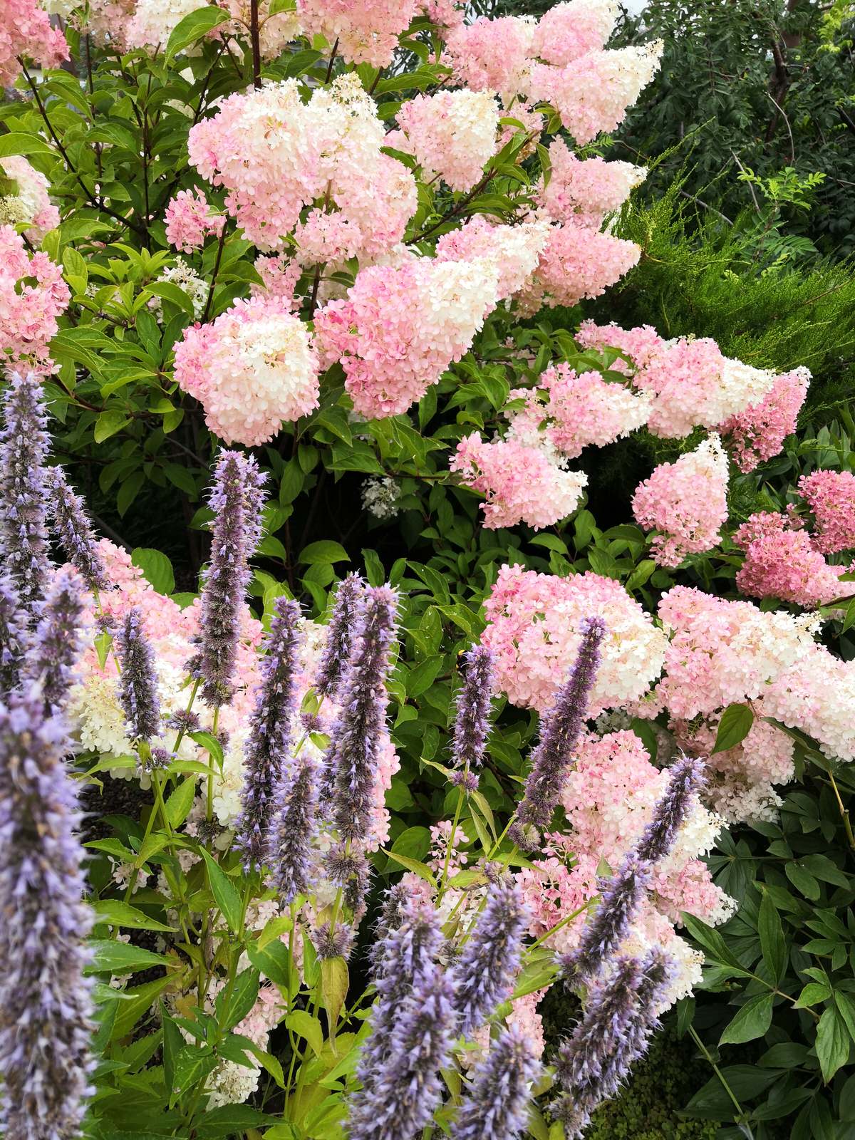 Сад на двух ярусах