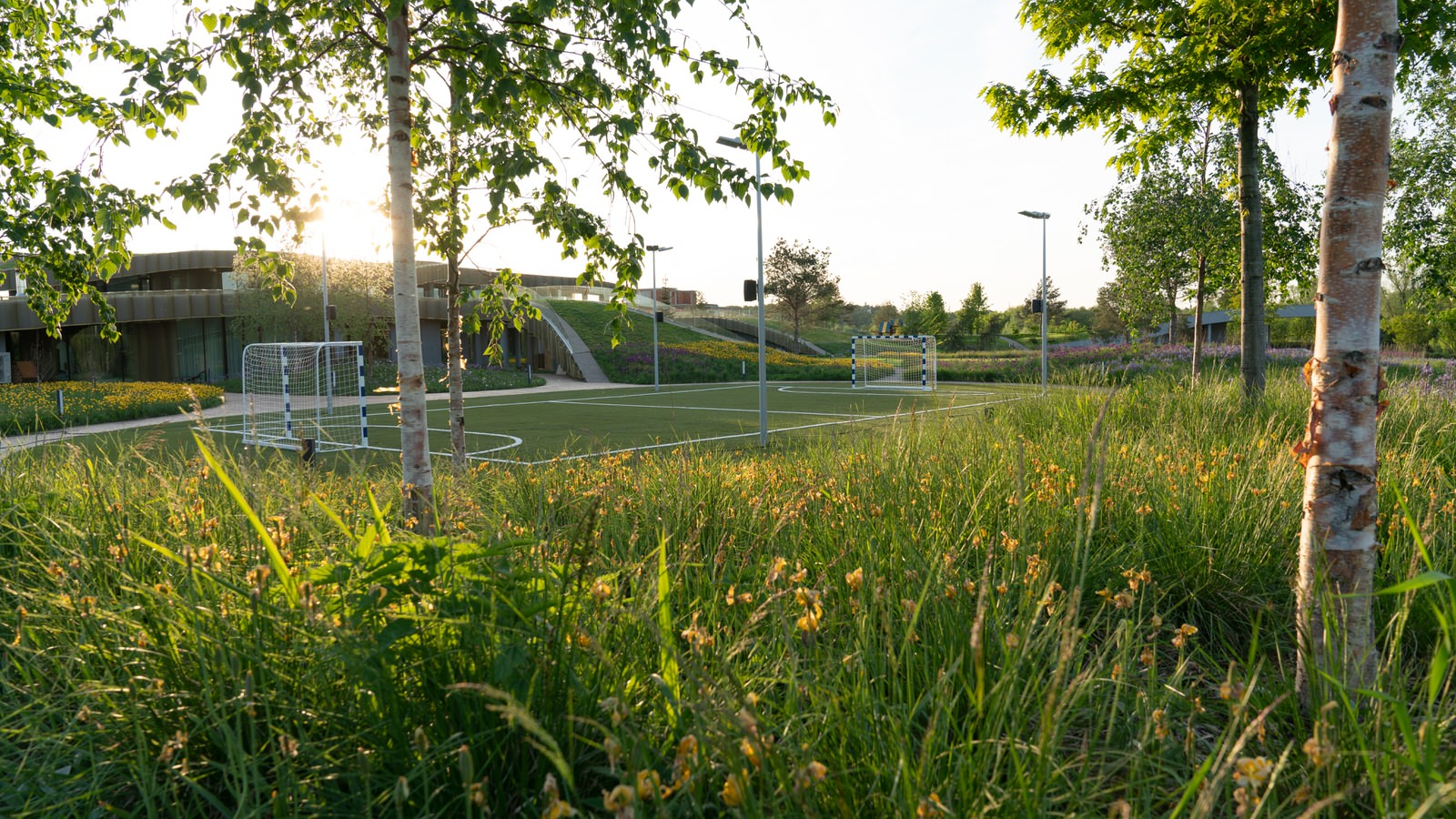 Природный сад. Жуковка XXI век. 2017-2018 гг.