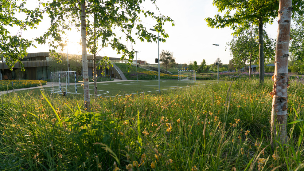 Природный сад. Жуковка XXI век. 2017-2018 гг.