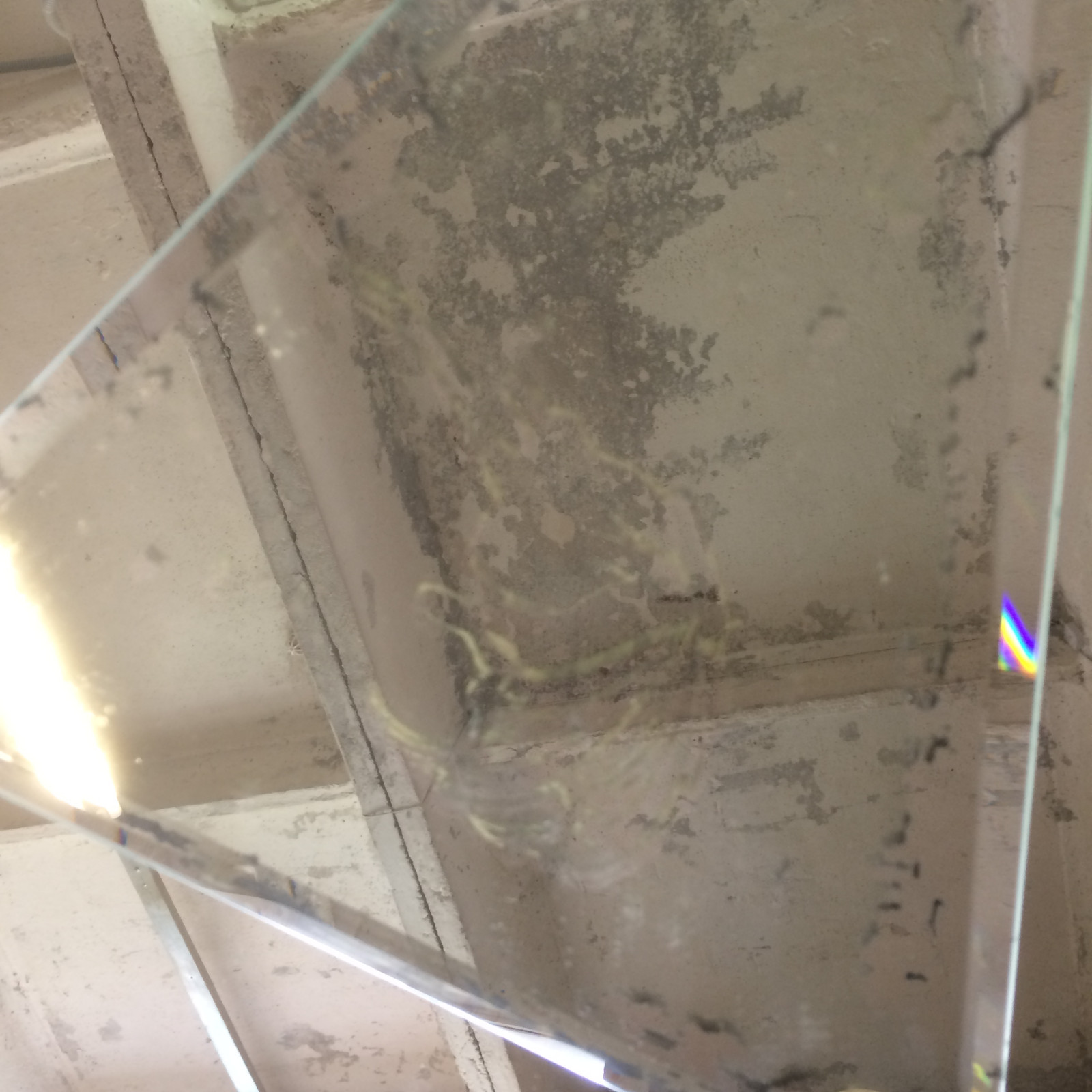 Искусственное старение зеркал и стекла