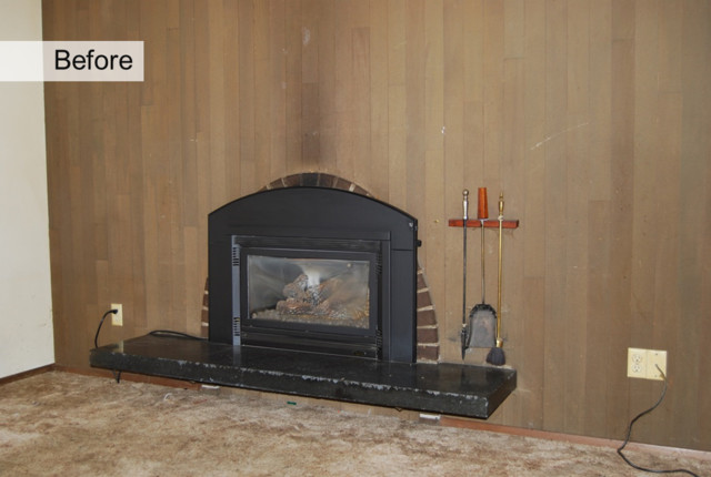 Gas Fireplace Inserts trendy