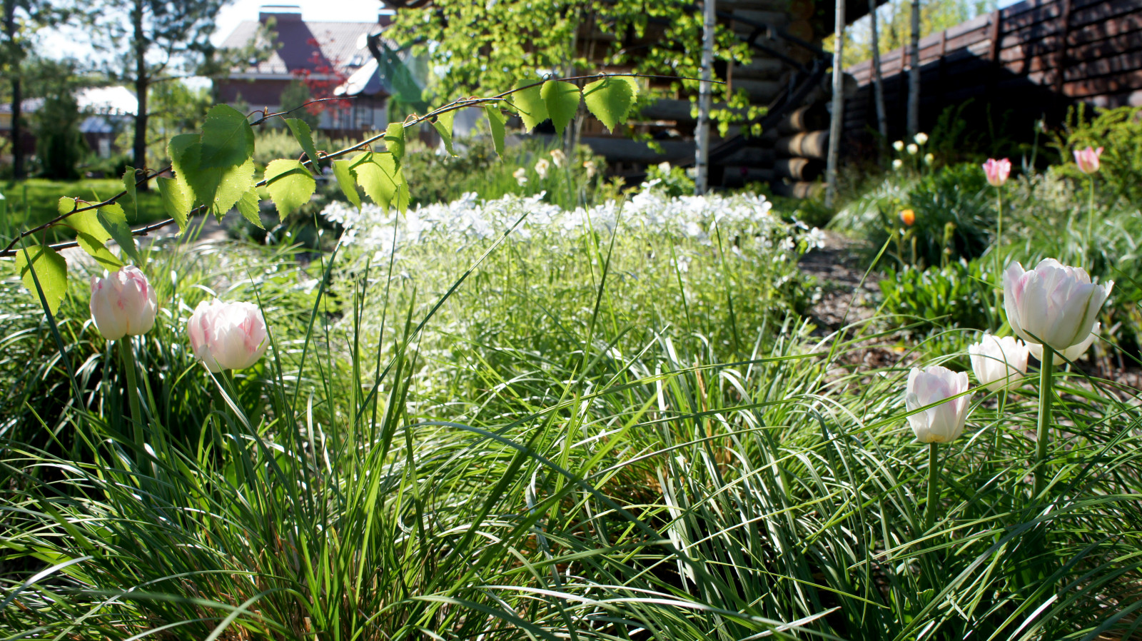 Цветники и композиции крупным планом