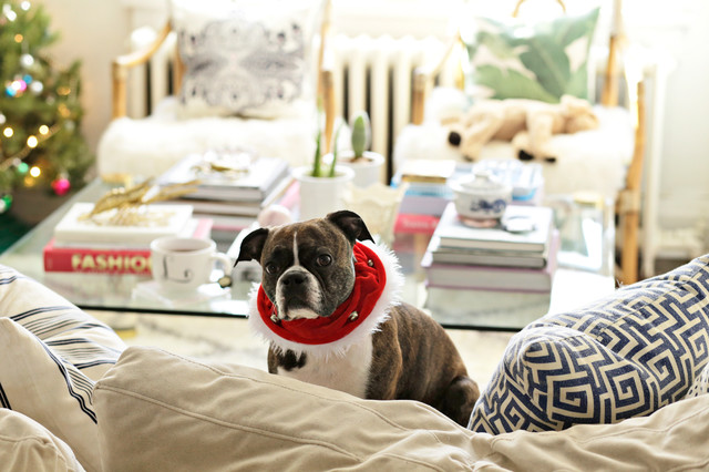 Simple Christmas Decor eclectic
