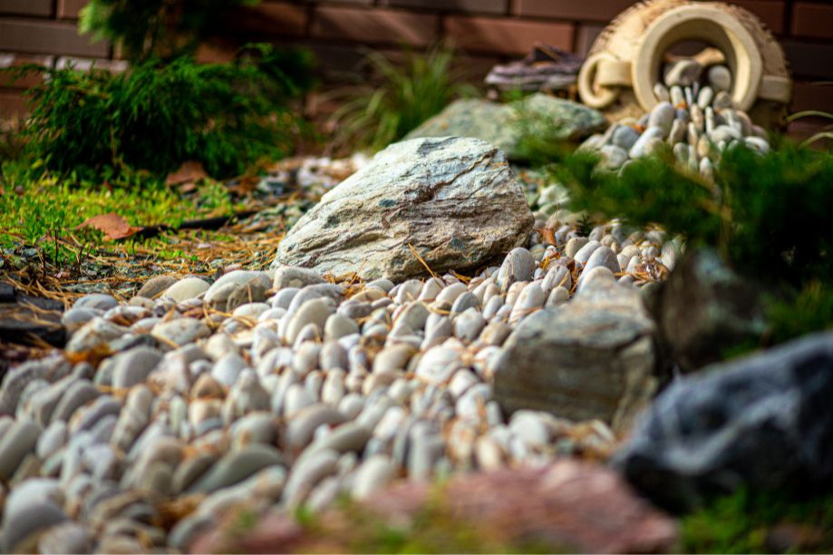 Портфолио Drevos