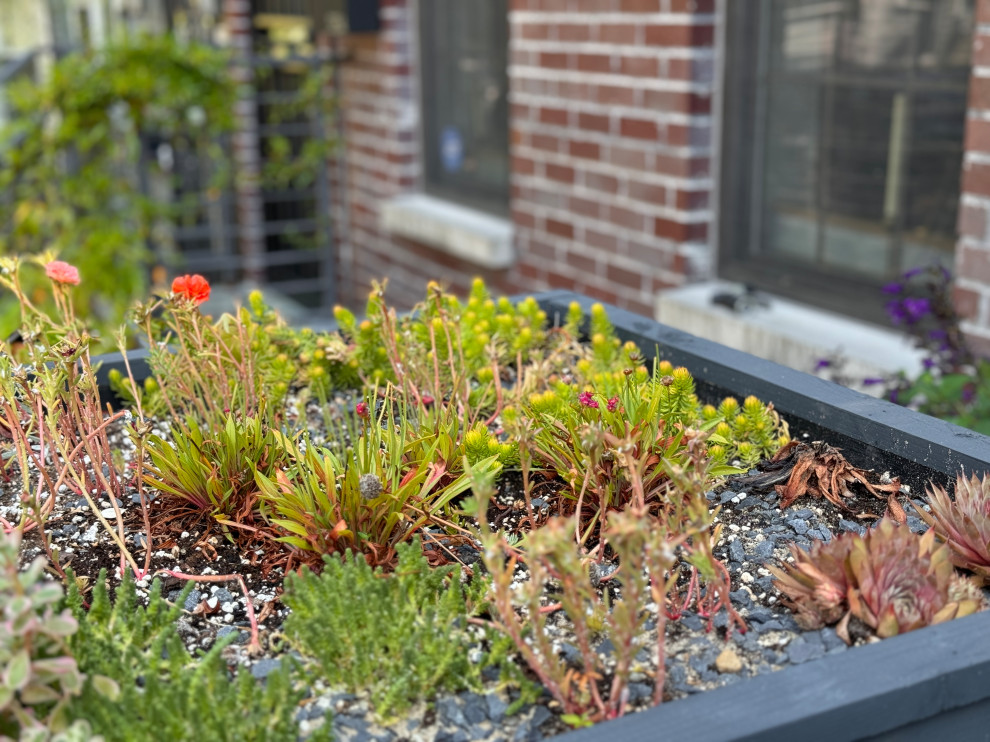 Greenwood front and back yard