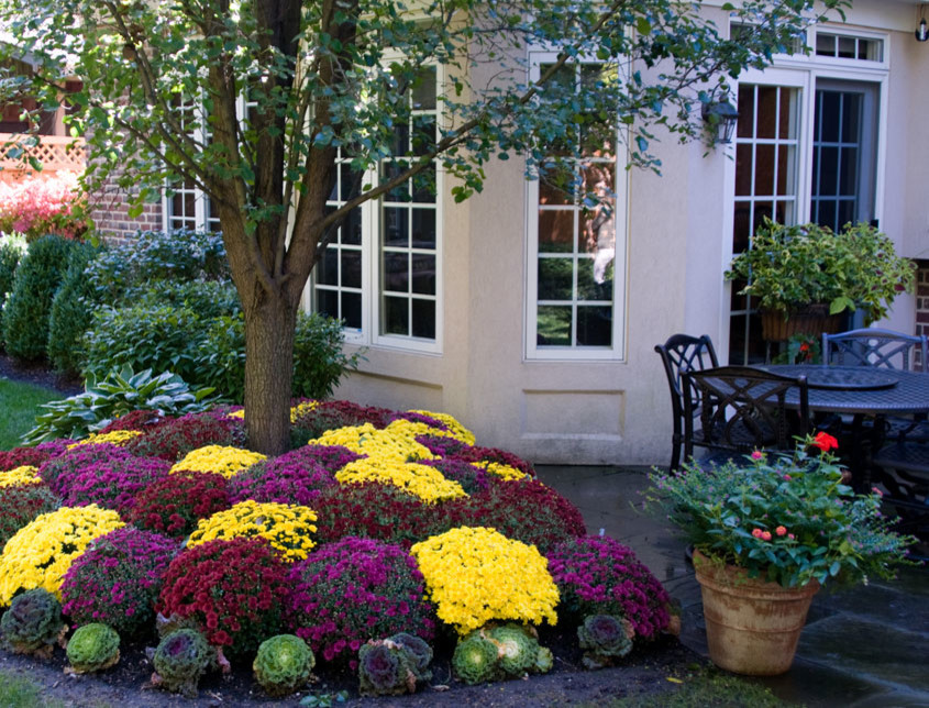 Container Gardens, Planters, Urns, Window Boxes