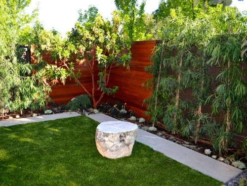 Design ideas for a mid-sized contemporary backyard partial sun formal garden in Los Angeles with concrete pavers.