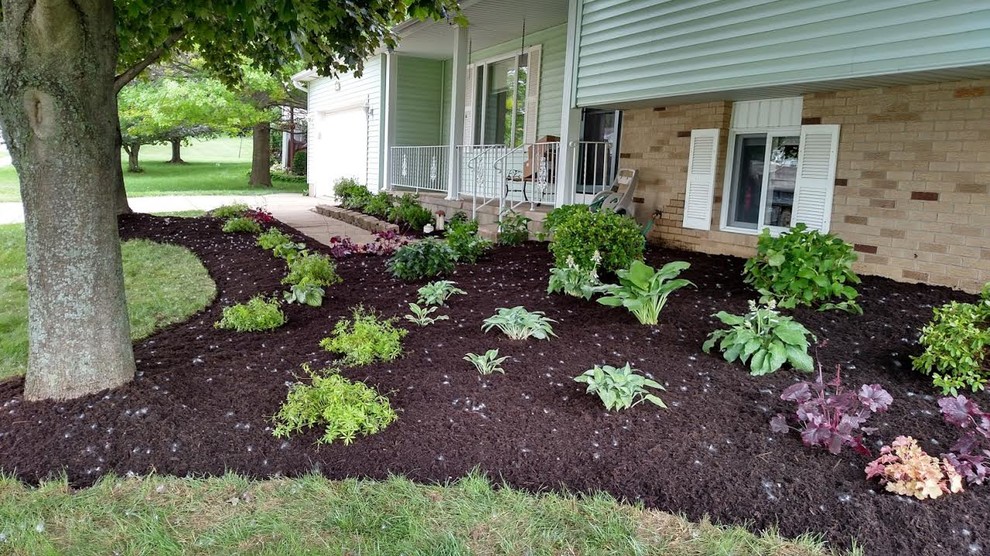 Design ideas for a mid-sized transitional shade backyard mulch landscaping.