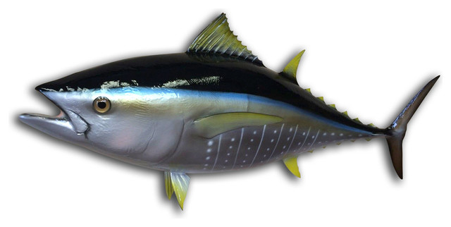 38" Yellowfin Tuna Half Mount Fish Replica