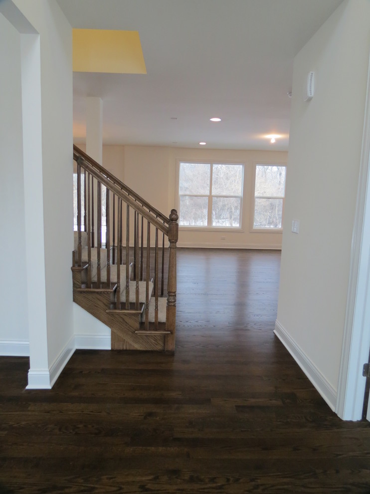 Inspiration for a transitional dark wood floor entryway remodel in Chicago