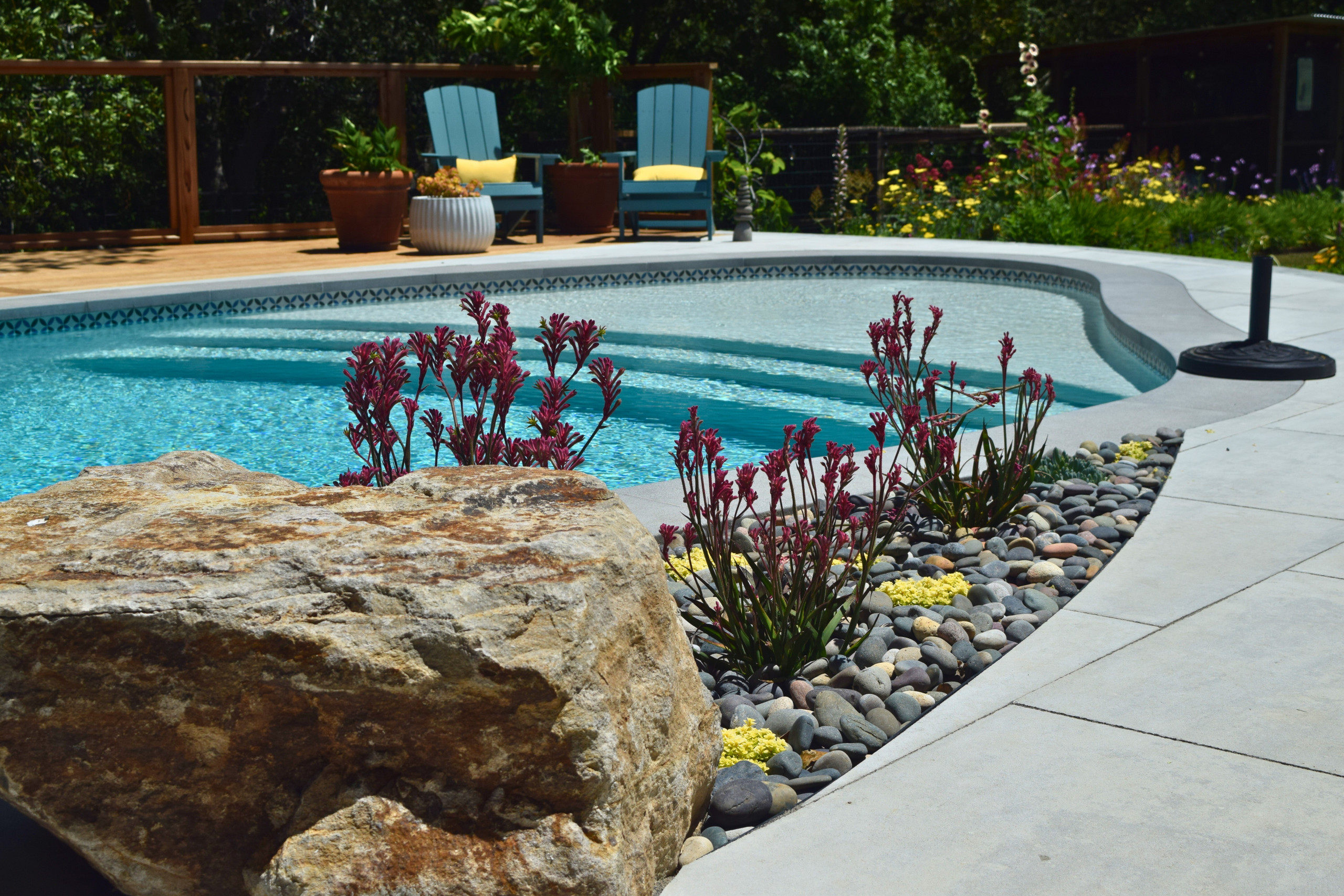 Backyard Pool Deck in San Rafael