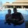 steve_henry8805303