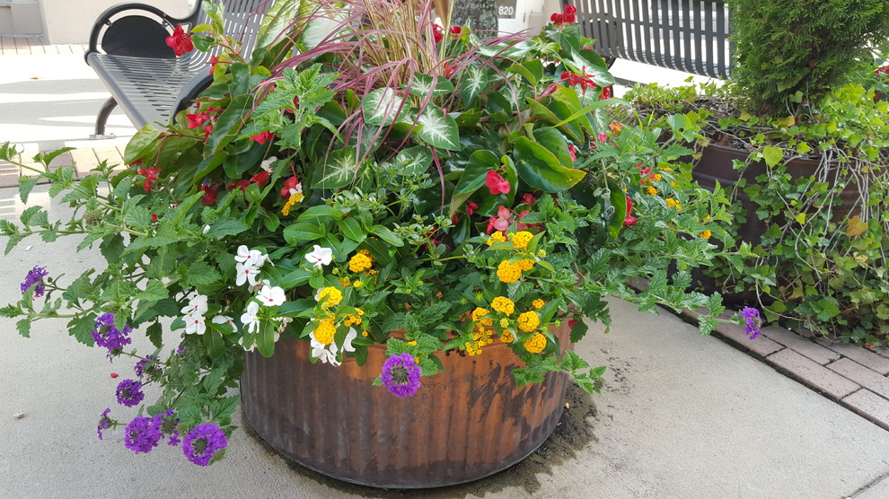 Design ideas for a small transitional full sun front yard concrete paver garden path in Raleigh for spring.