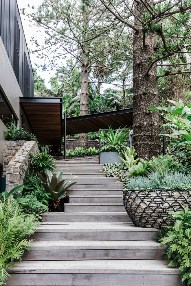 Idee per un giardino contemporaneo con scale