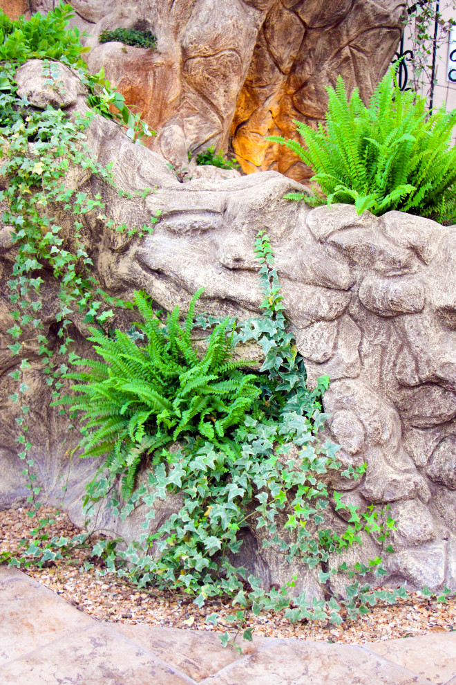 Тарасовка, зимний сад, 2012-2013 гг.