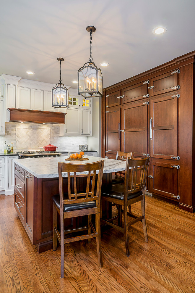 Inspiration for a transitional home design remodel in Chicago