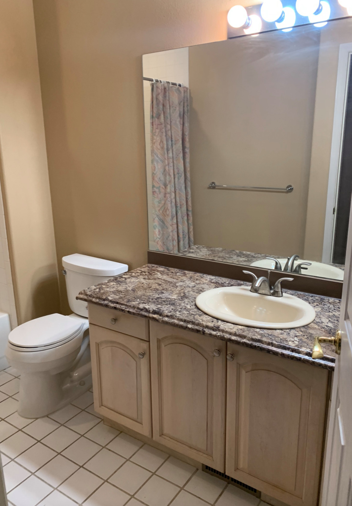 BEFORE (Guest Bath)