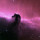 Michael Tobia's profile image