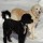 denise_hounsell