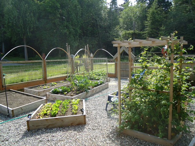 Raised Cedar Bed Garden