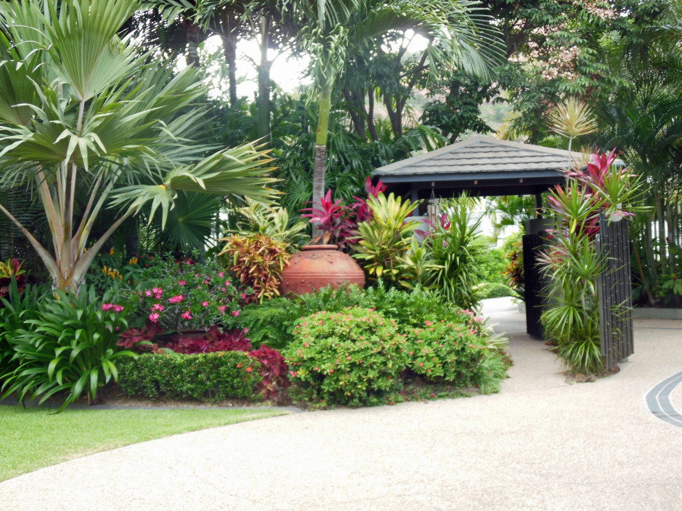 Photo of a tropical garden in Other.